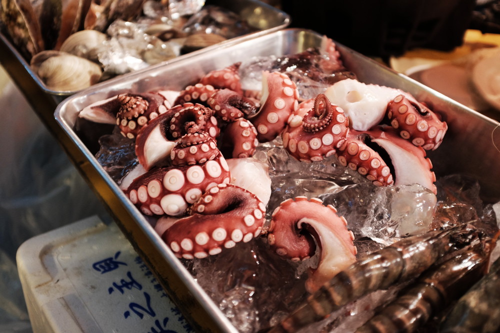 seafood japan octopus squid