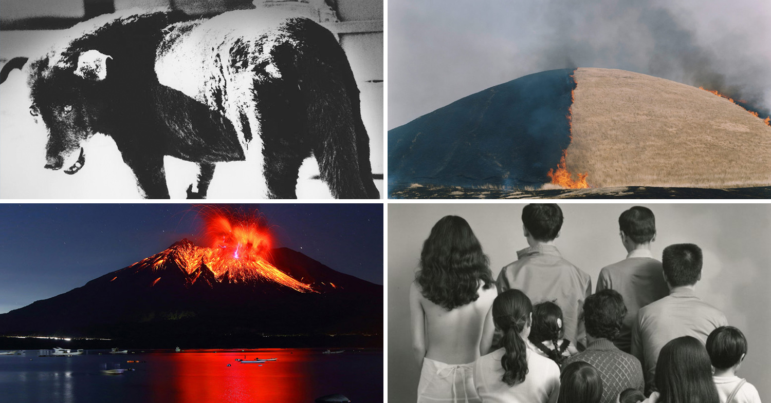 8 Influential Japanese Photographers You Should Know About