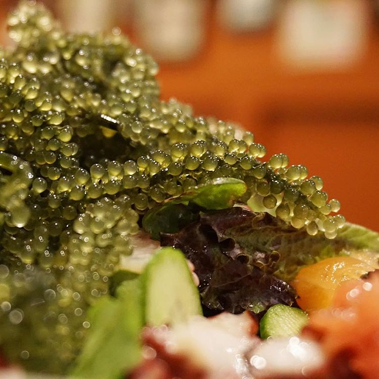 sea grapes unusual japanese foods