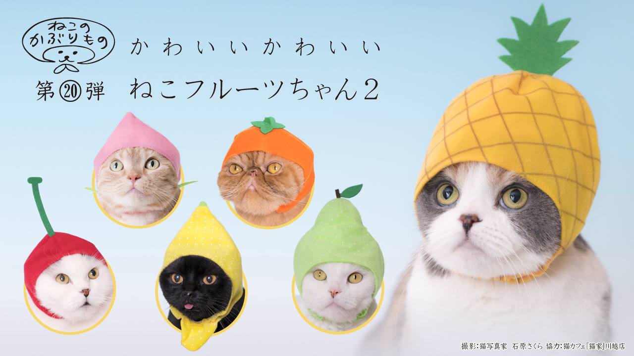 Kitan Club Onigiri Rings - cat hats