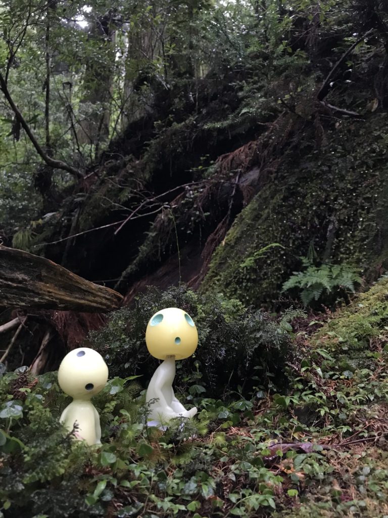 Real Life Anime Locations - Kodama sitting on forest bed 