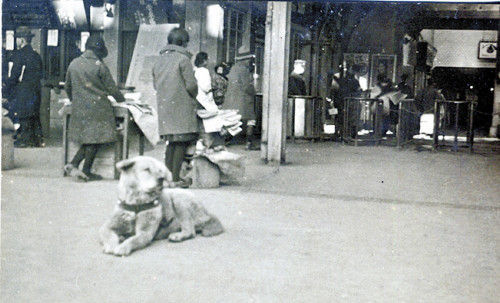 Japan Then And Now - real life hachiko