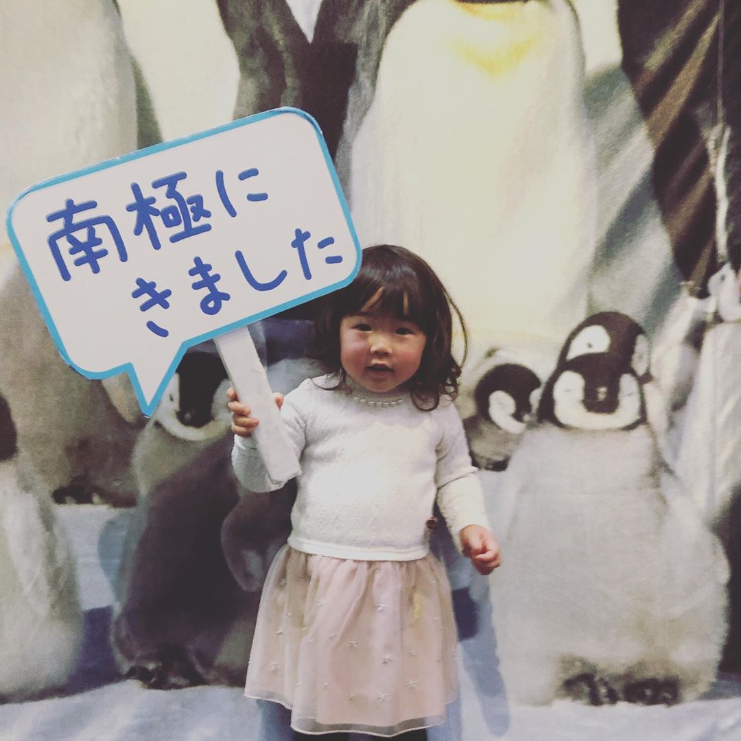 Japanese Laws 8 - holiday at Antarctica