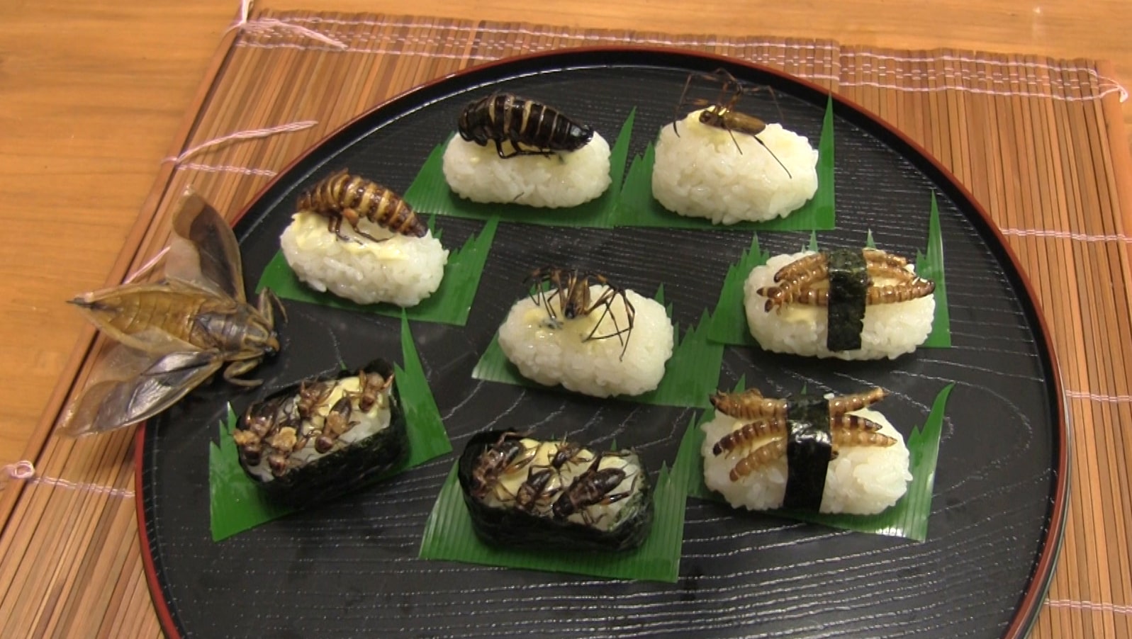 Weirdest Japanese Food 17 - insect sushi