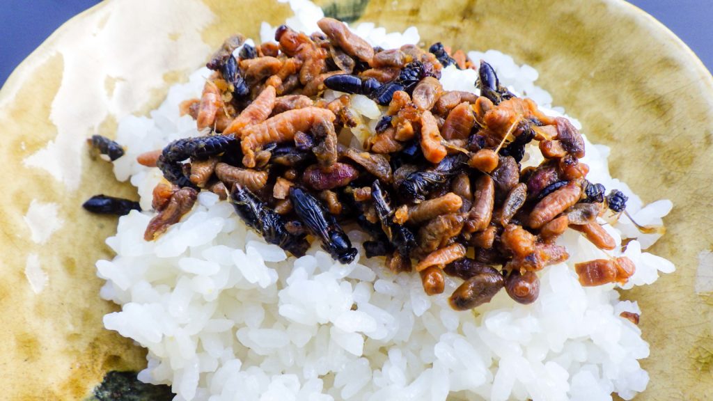 Weirdest Japanese Food 7 - bee larvae rice