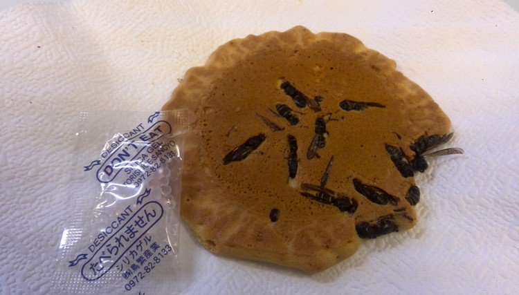 Weirdest Japanese Food 8 - wasp crackers