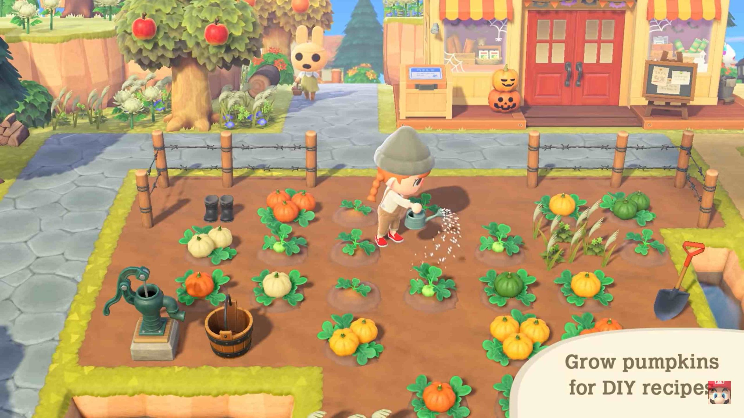 Animal Crossing Fall Update 1 - grow pumpkins
