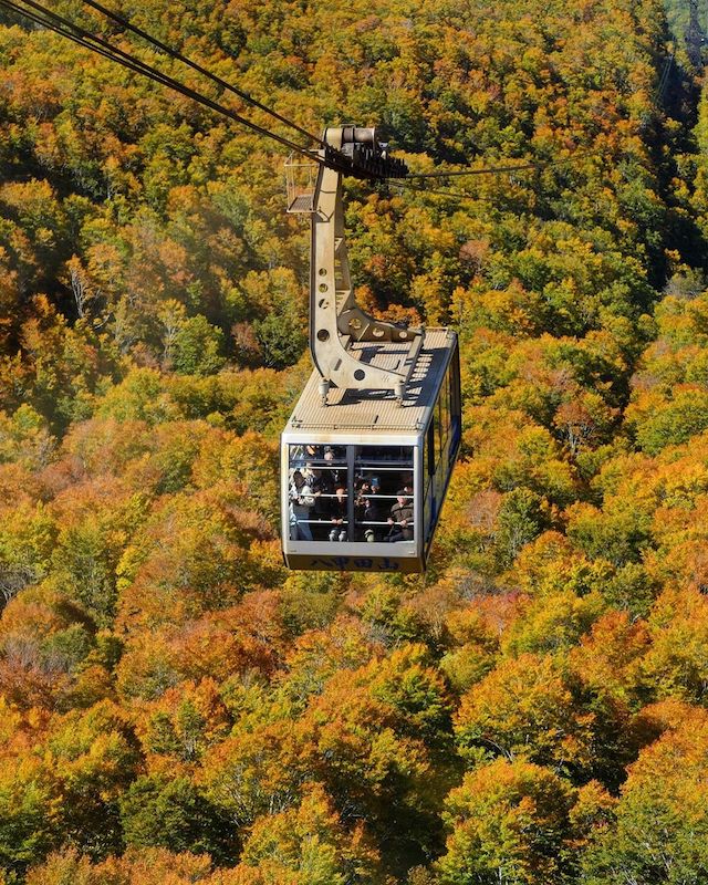 Mountains in Japan - Hakkōda Ropeway cable car during the peak of autumn 