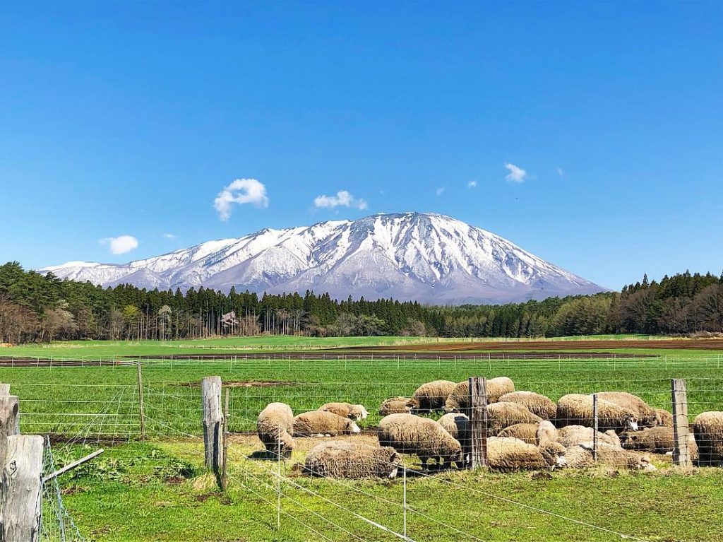 Mountains in Japan - view of Mount Iwate from Koiwai Farm in Iwate Prefecture