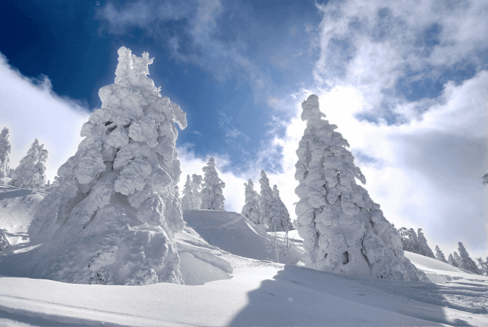 Mountains in Japan - snow monsters on mount hakkoda