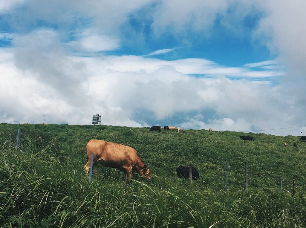 Mountains in Japan - view near Daikanbo, the prime viewpoint of Mount Aso