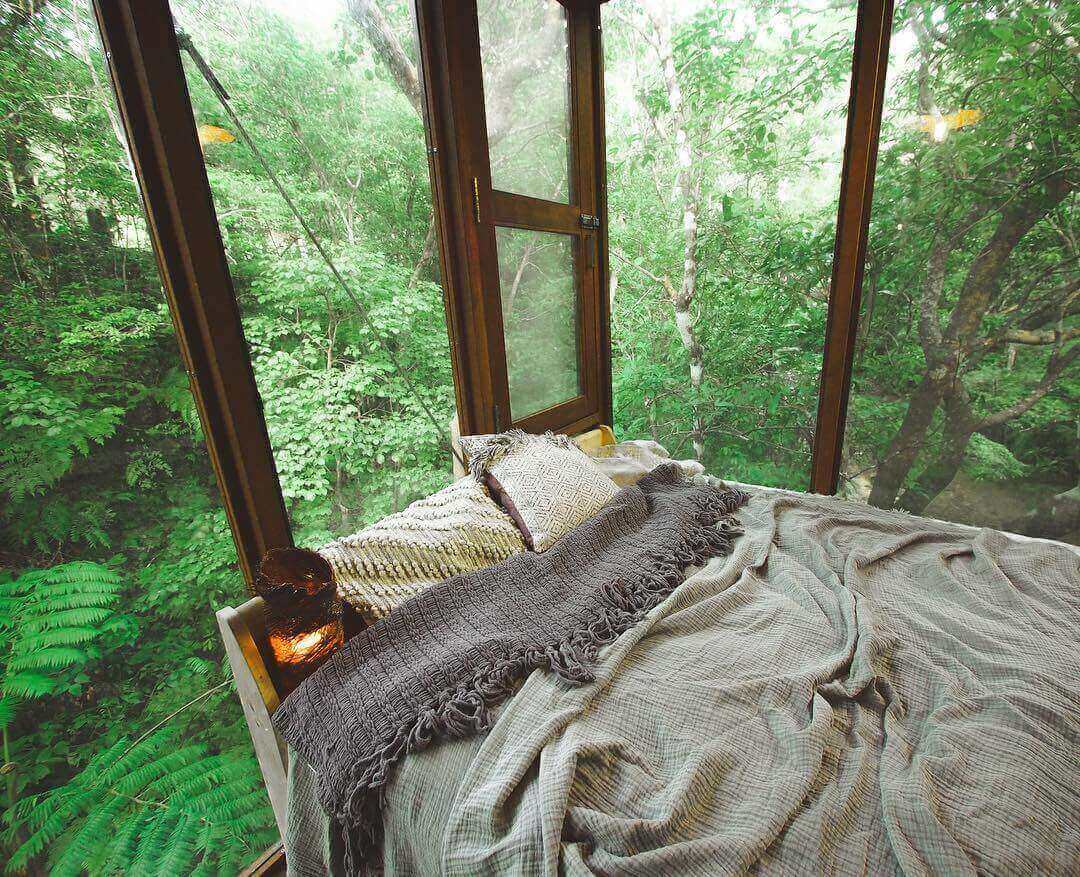 treeful treehouse - bed and scenery
