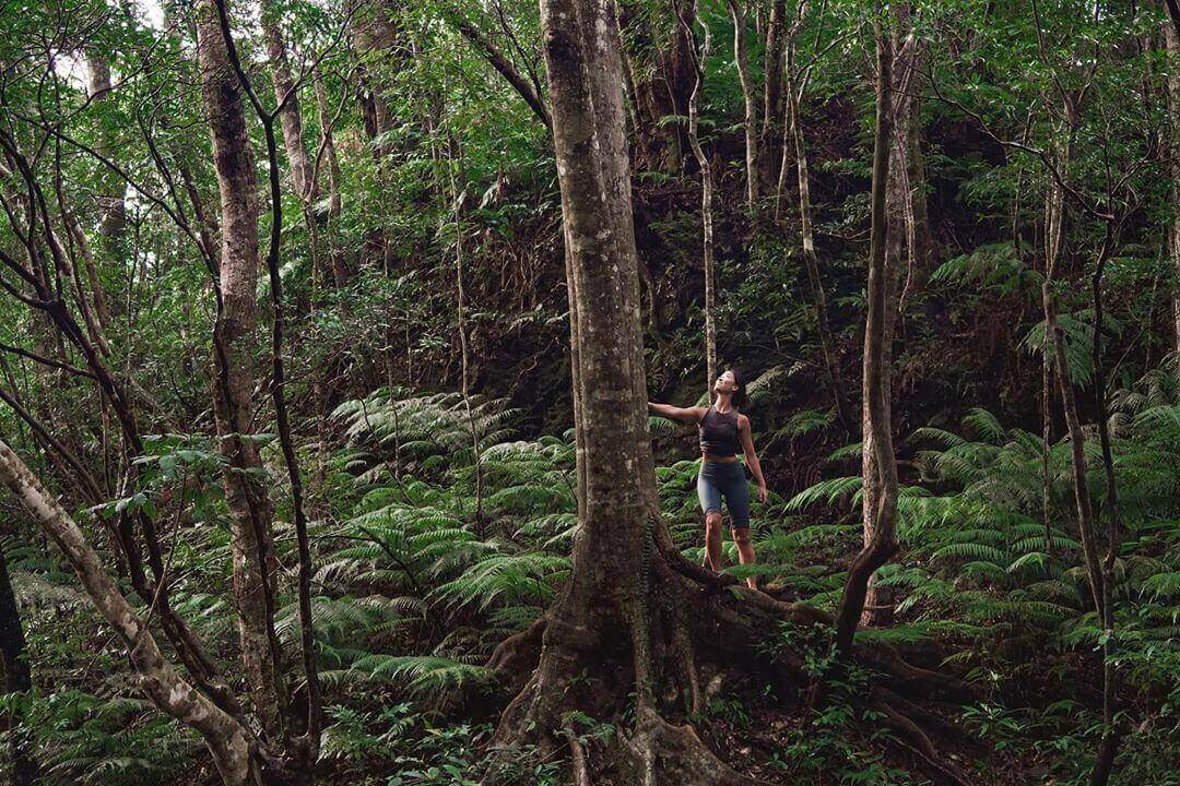 treeful treehouse - jungle trekking