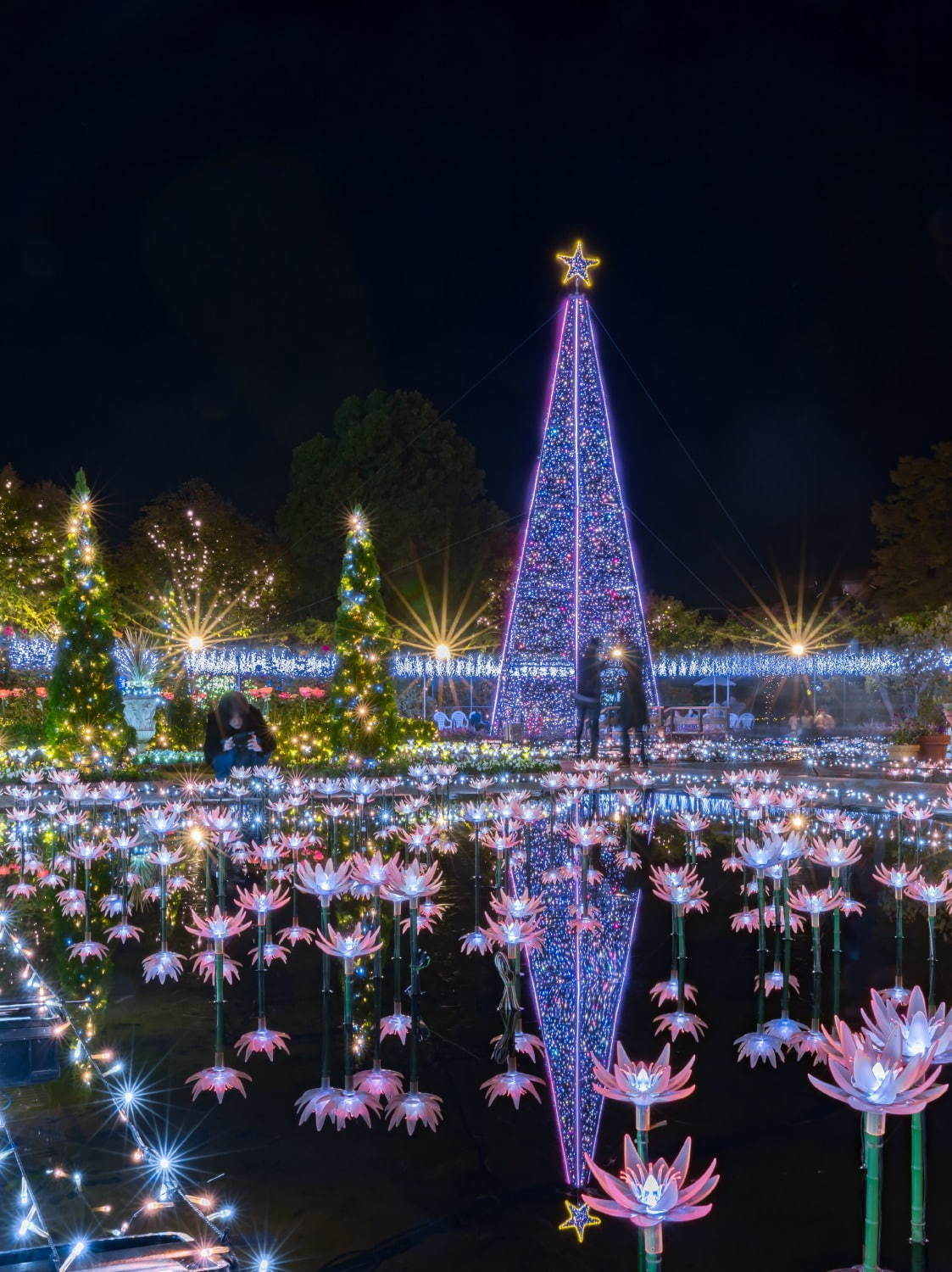 Ashikaga Flower Park Illumination 2020 7 - light water lily
