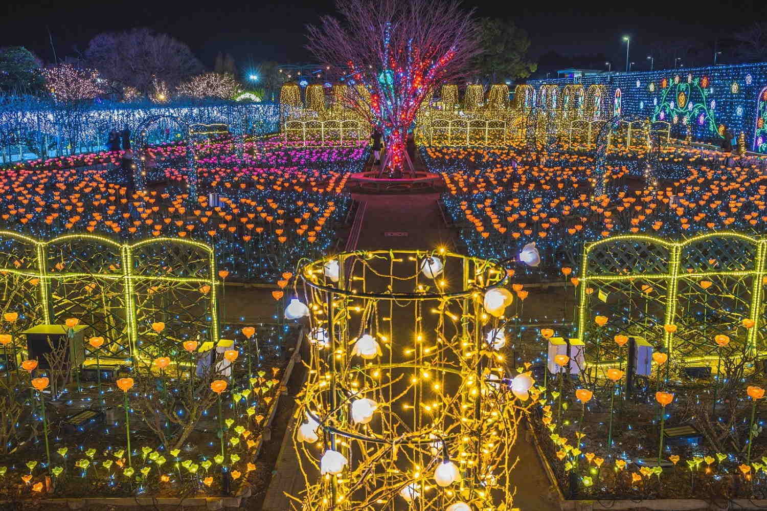 Ashikaga Flower Park Illumination 2020 8 - rose garden of light
