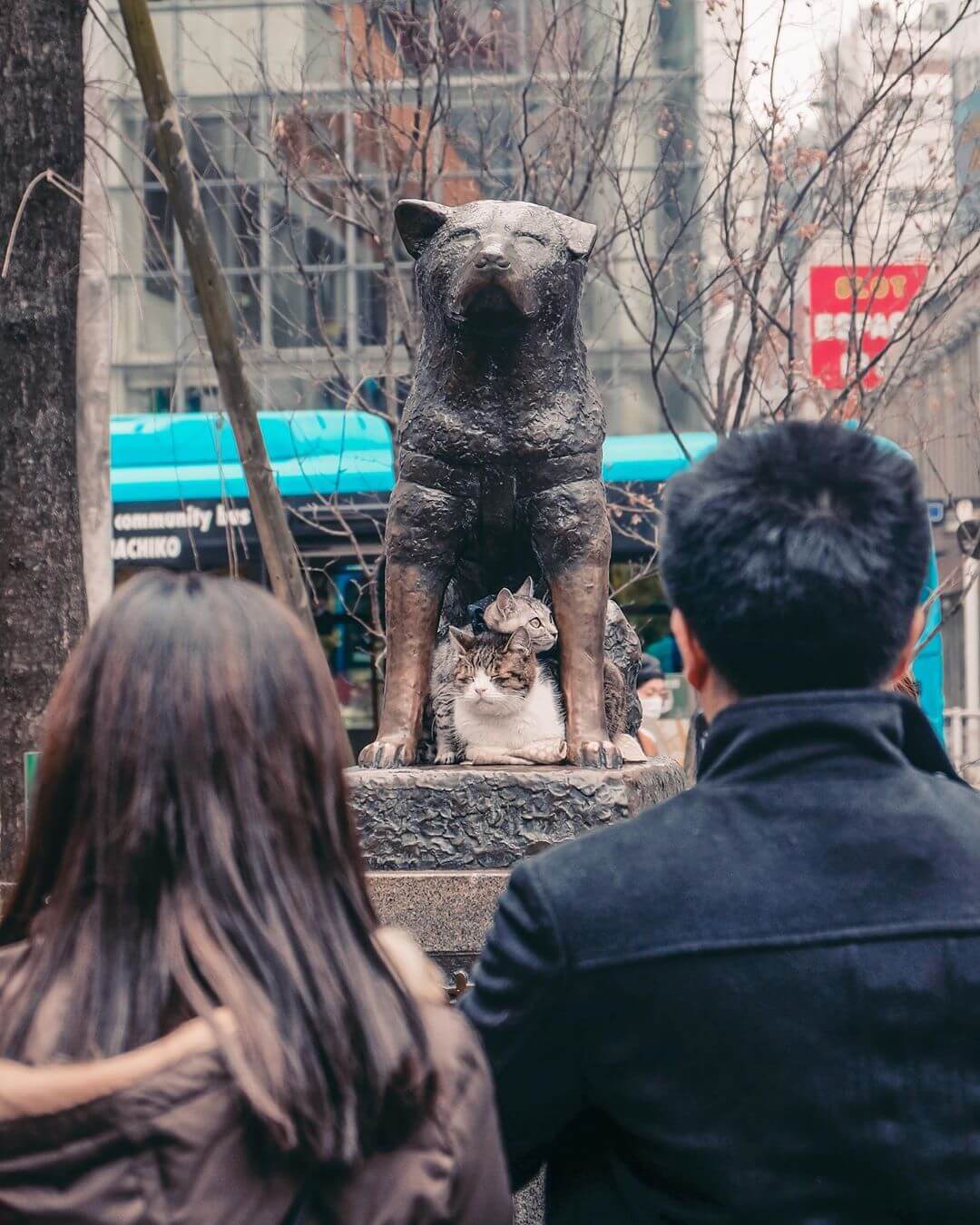 free tokyo walking tours - hachiko