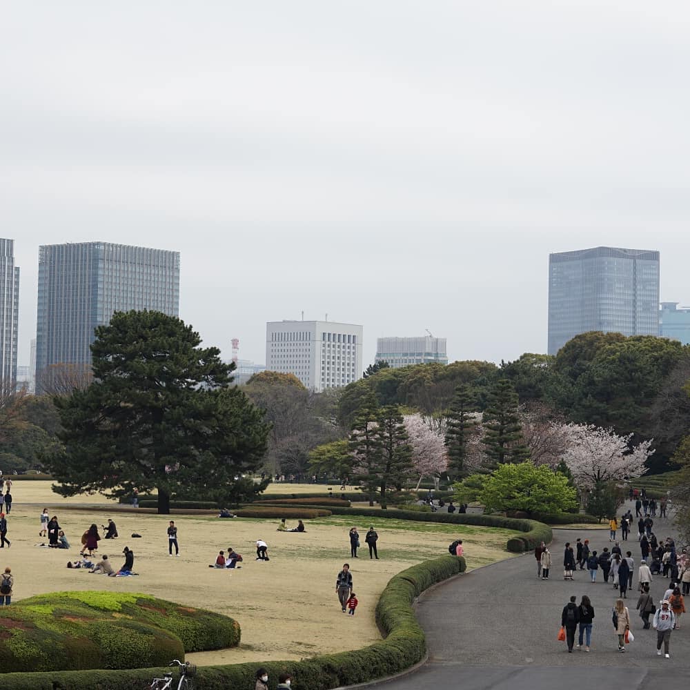 free tokyo walking tours - east gardens of imperial palace