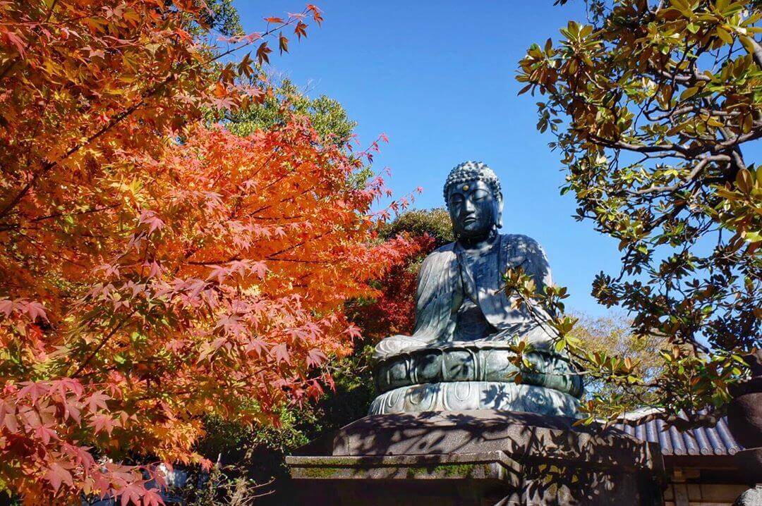 free tokyo walking tours - buddha