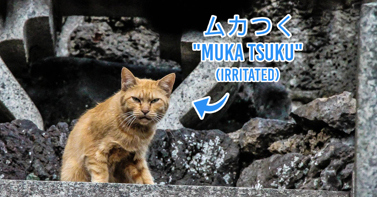 3 Useful Japanese Slang ~Selected by ZenPop~