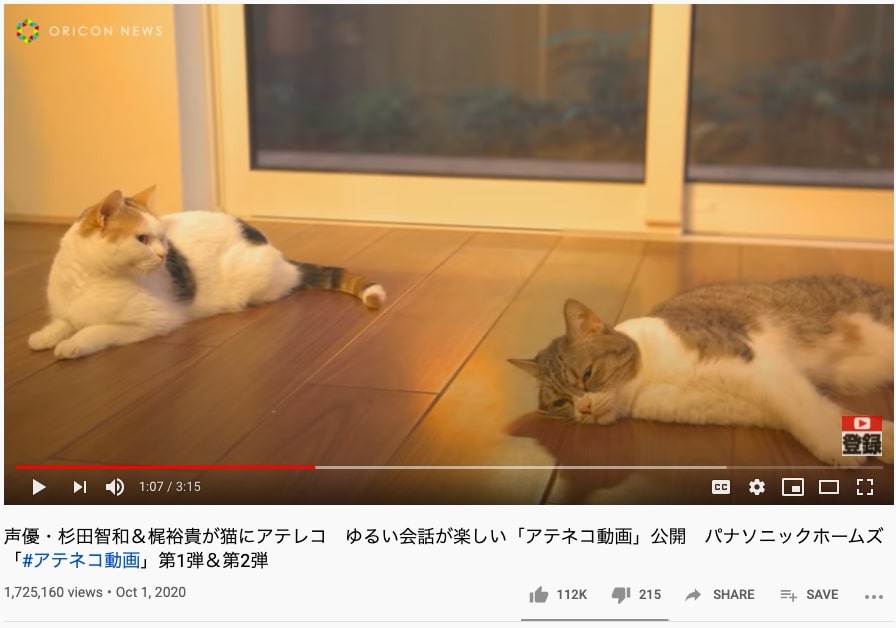 talking cats panasonic ad - screenshot of oricon compilation