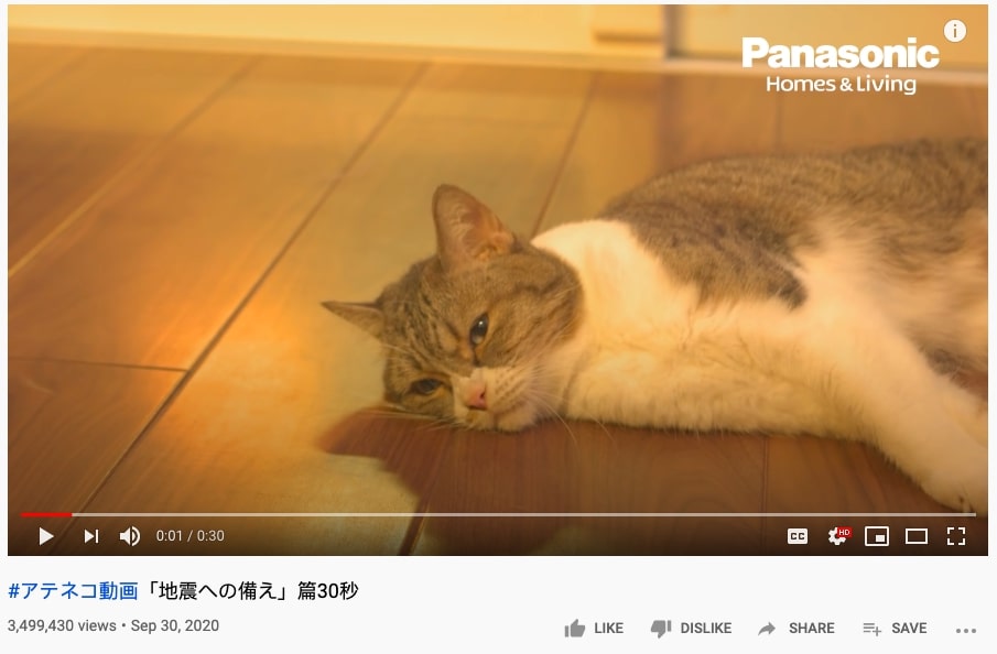 talking cats panasonic ad - screenshot of panasonic ad