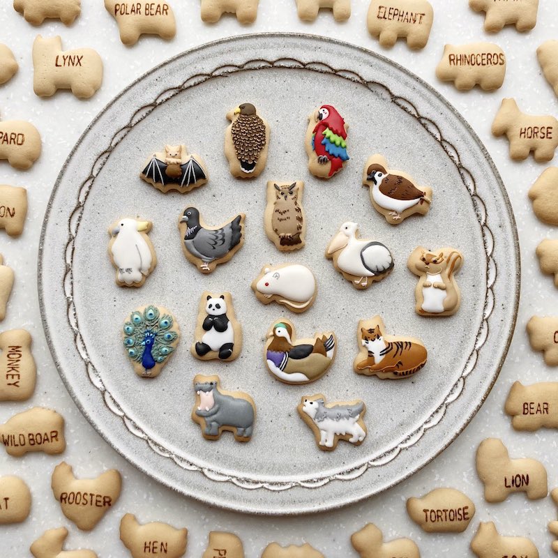 Ginbis Dream Animal biscuits - plain and decorated animal biscuits