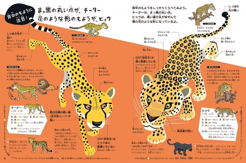 animal picture book breastfeeding - cheetah leopard