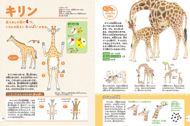 animal picture book breastfeeding - giraffe