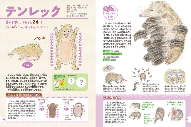 animal picture book breastfeeding - tenrec