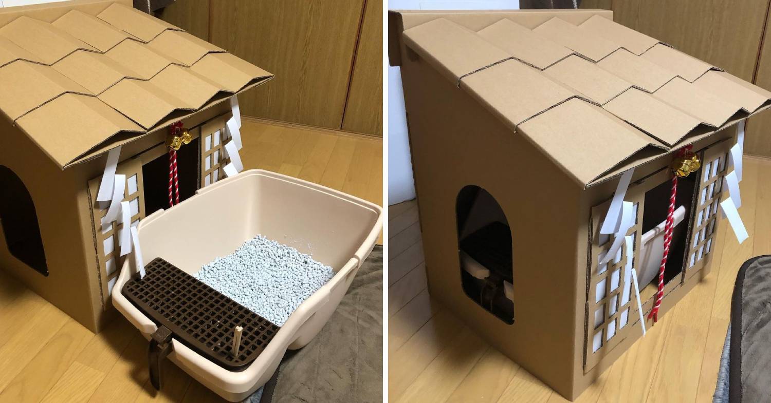 cardboard cat shrine - cover litter box