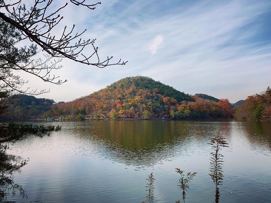 japanese autumn leaves - takaragaike park