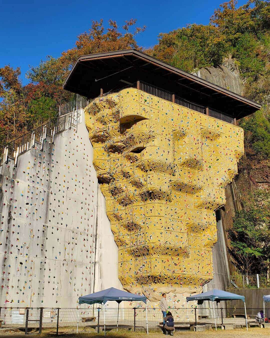 japanese autumn leaves - hoshida park rock climbing wall