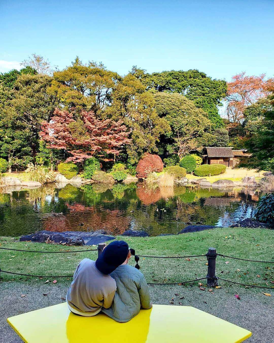 japanese autumn leaves - tokyo national museum