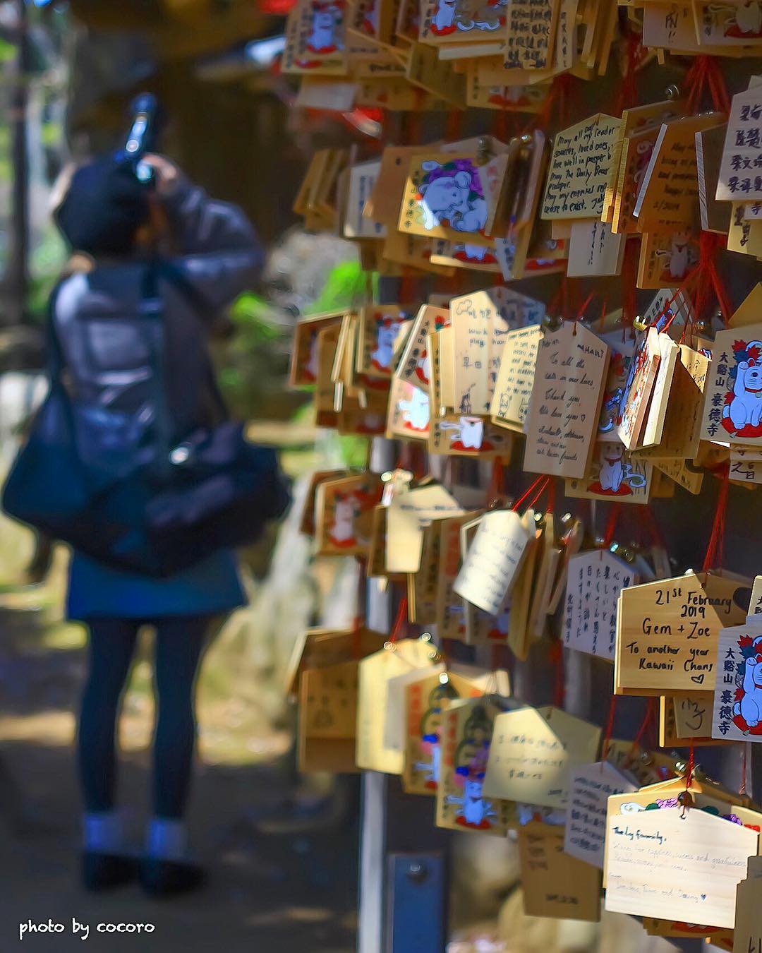 japanese autumn leaves - gotokuji temple ema boards