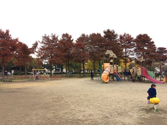 japanese autumn leaves - mizumoto park playground