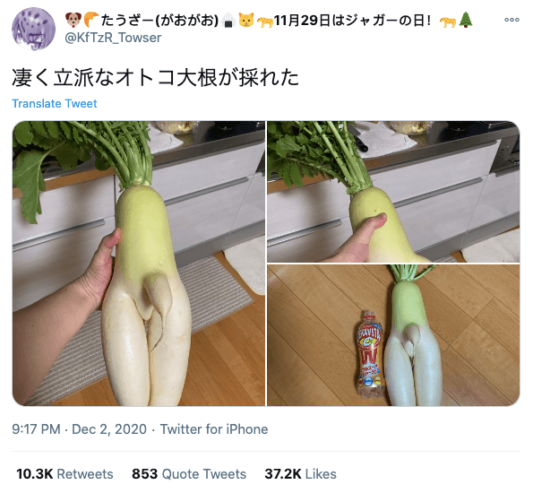 Japanese finds r-rated daikon - twitter post of daikon with offending appendage