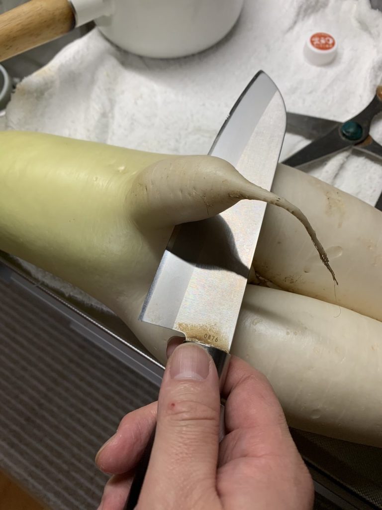Japanese finds r-rated daikon - slicing daikon with knife