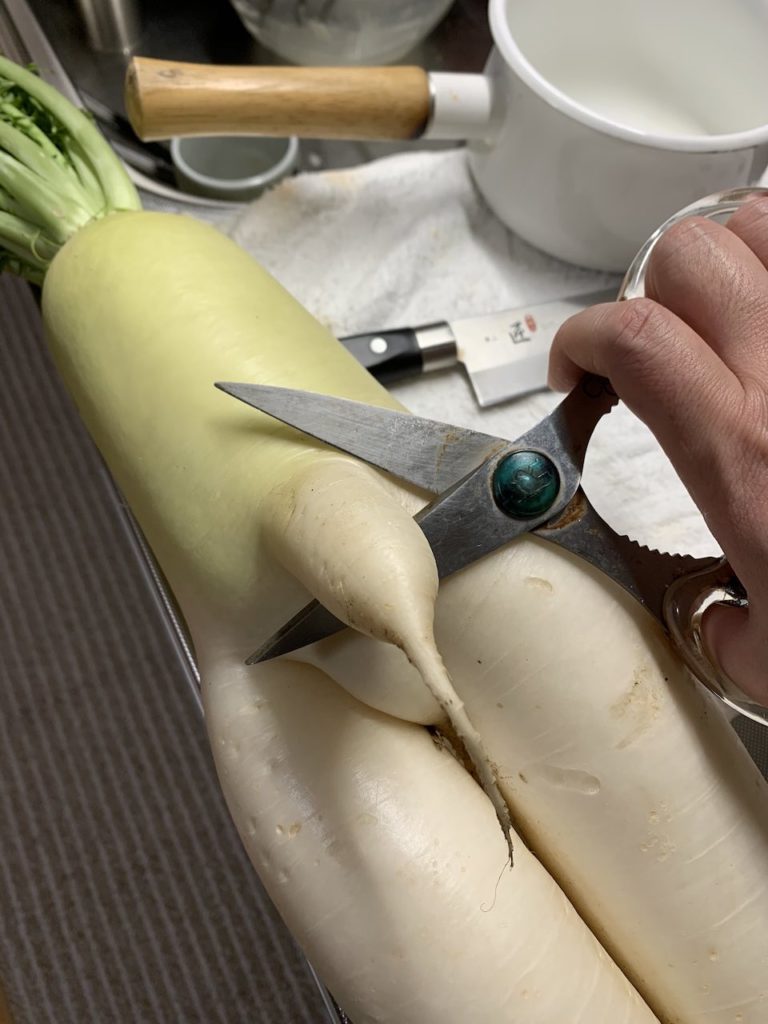 Japanese finds r-rated daikon - cutting daikon with scissors