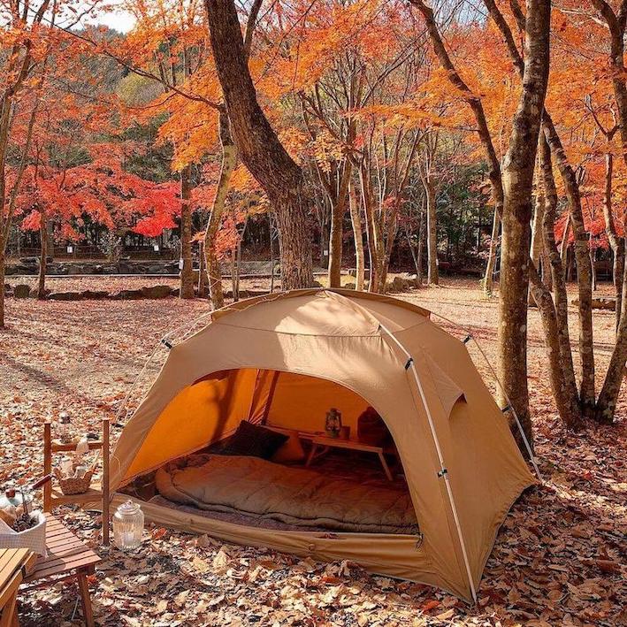 Trendy Japanese words - solo camping
