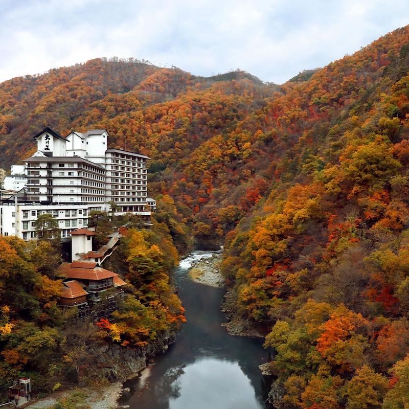 Demon Slayer Infinity Castle Ashinomaki Onsen Ookawaso - ashinomaki onsen ookawaso in autumn