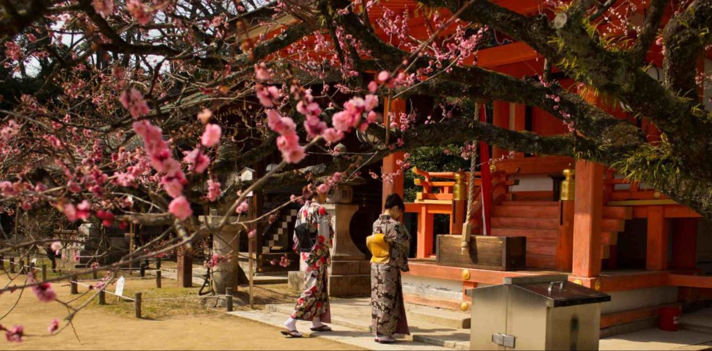 Kyoto shrines - kitano tenmangu