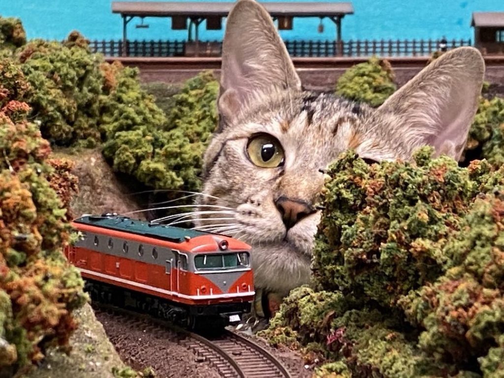 Diorama Restaurant Tetsudokan - cat and railway diorama
