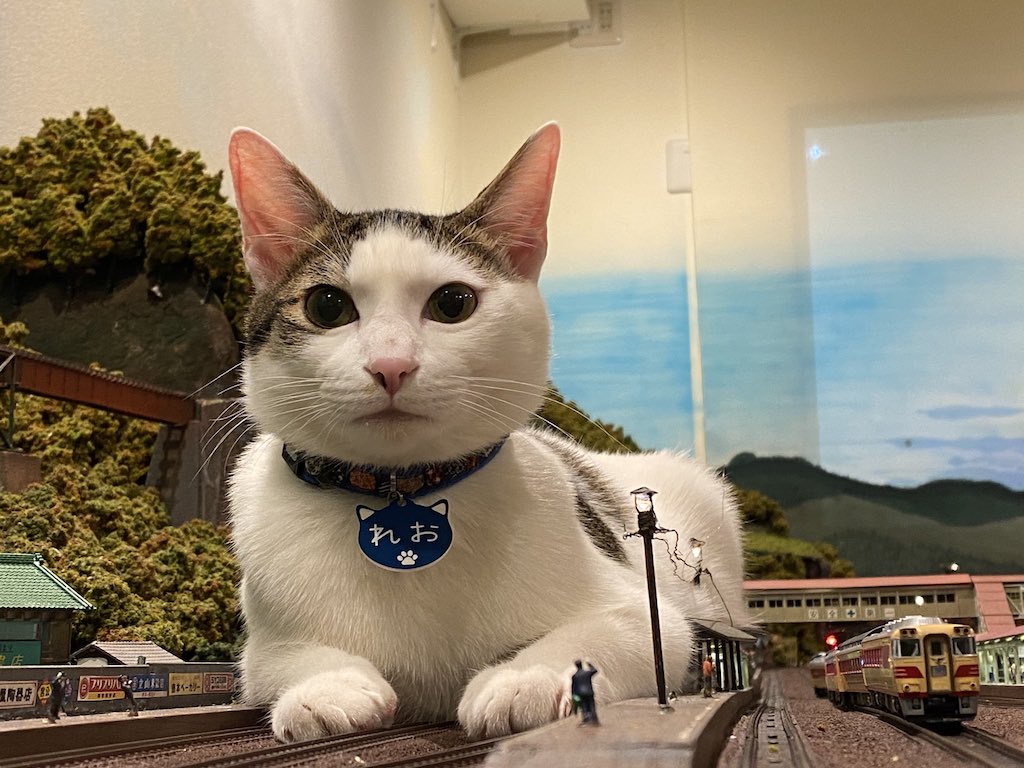 Diorama Restaurant Tetsudokan - cat lying on miniature railway tracks