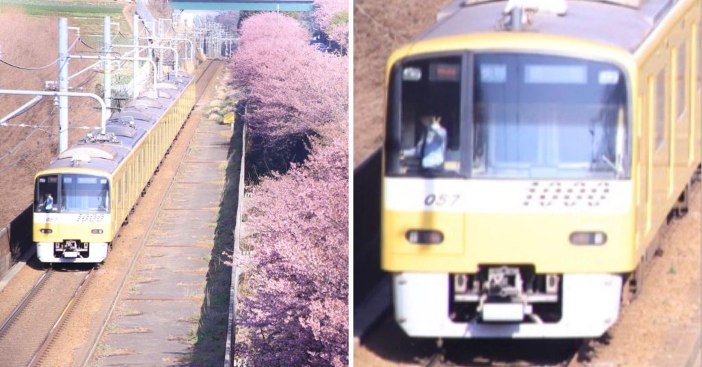 Train conductor posing for photo - zoom in of train conductor in a passing train