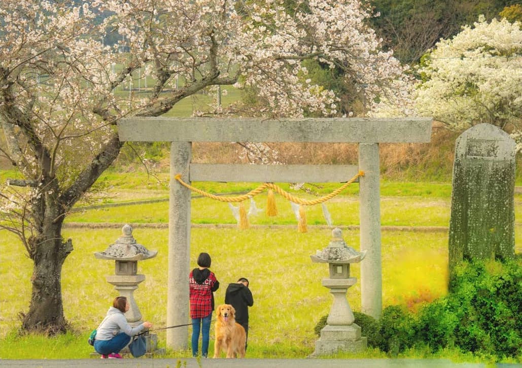 Leaving shrine