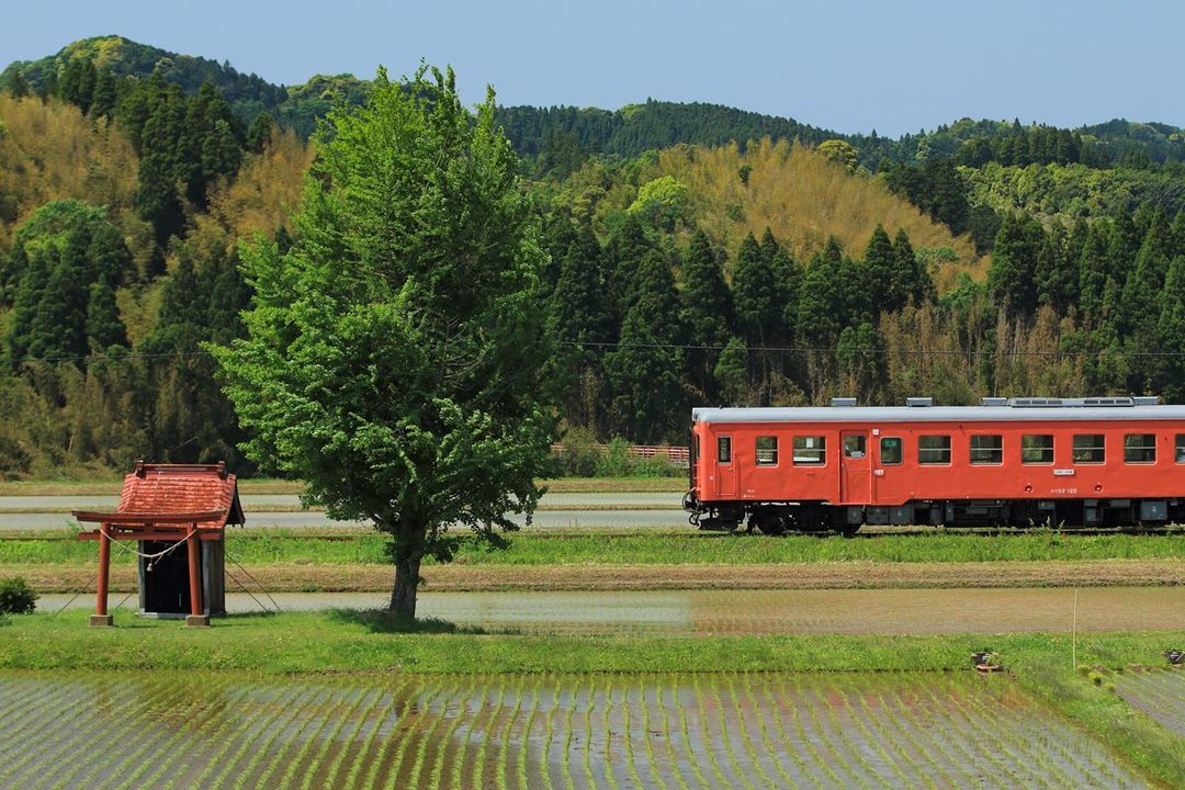 Japan shrines - Hokora