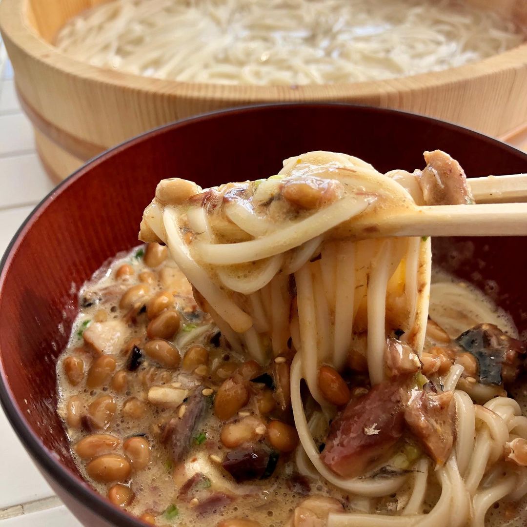 types of udon - eating hippari udon