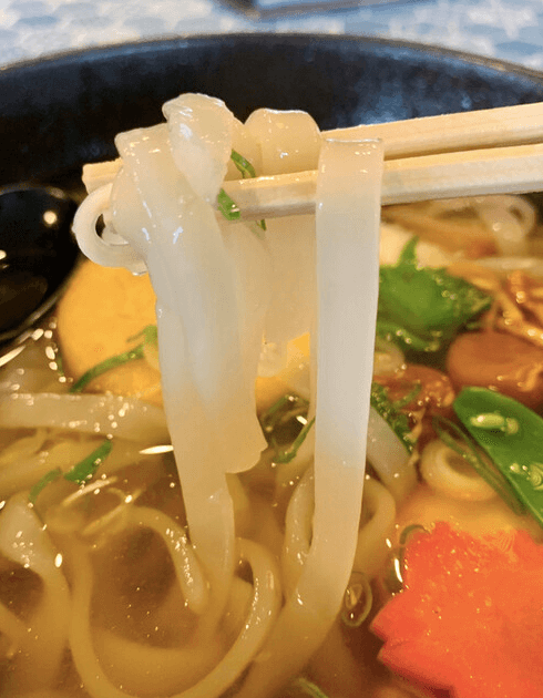 types of udon - gosetsu udon noodles