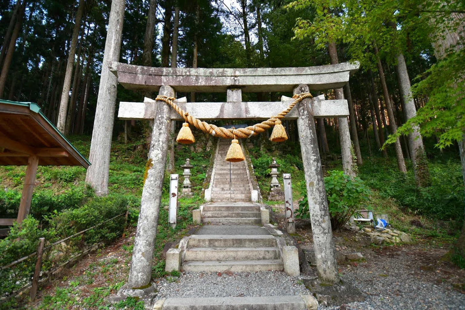 monet's pond - torii gate nemichi shrine