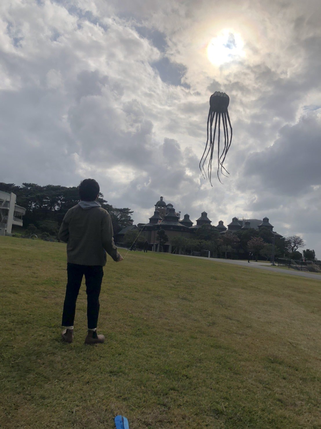 octopus kite - kite mid-air